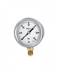 2  RChG63-3vDWrm MT-bourdon tube pressure gauge DW-line acc. to data sheet 1211.7 accuracy: class 1.6 nominal size 63 mm case filling: glycerine pressure connection center back connection SS with case welded Skala -1...9 bar 316L   special configuration: