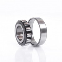 подшипник N1011RXTPCCG8P4Y