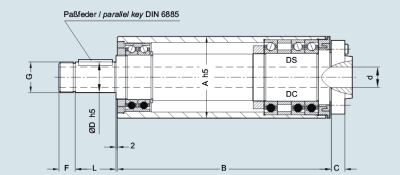 Шпиндельный узел UKF DS100x250